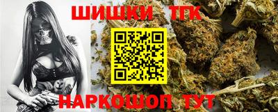 индика Лесосибирск