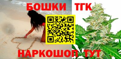 индика Лесосибирск