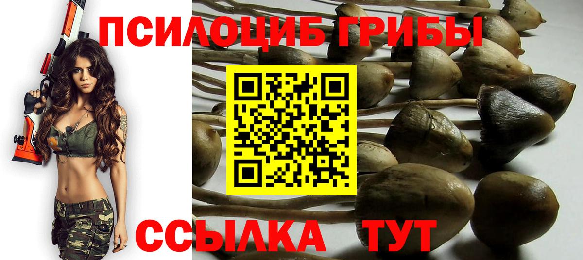 Псилоцибиновые грибы Magic Shrooms Десногорск